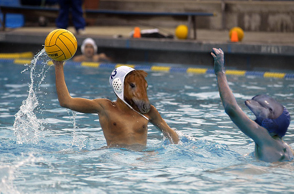 Alliez Santé et Loisir, Jeu d'eau et Sport de balle, grâce au Water-Polo !